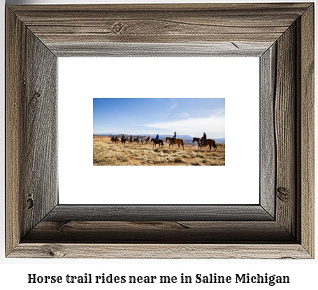 horse trail rides near me in Saline, Michigan